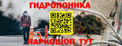 стаф Малгобек