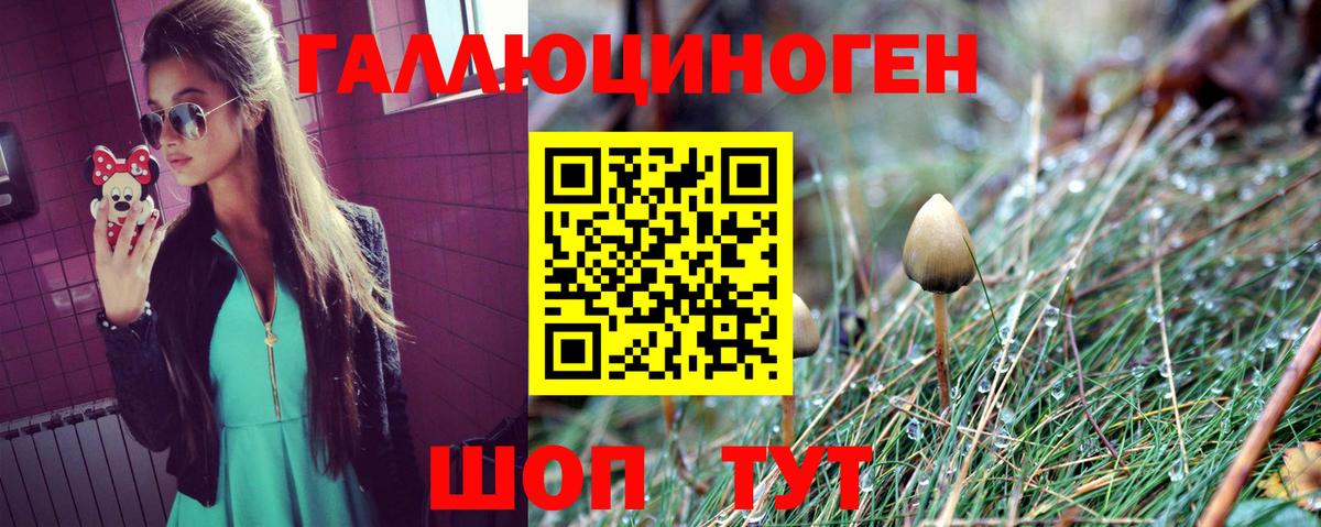 Великий Новгород  Псилоцибиновые грибы Magic Shrooms  Вход с VPN  Псилоцибиновые грибы GOLDEN TEACHER 